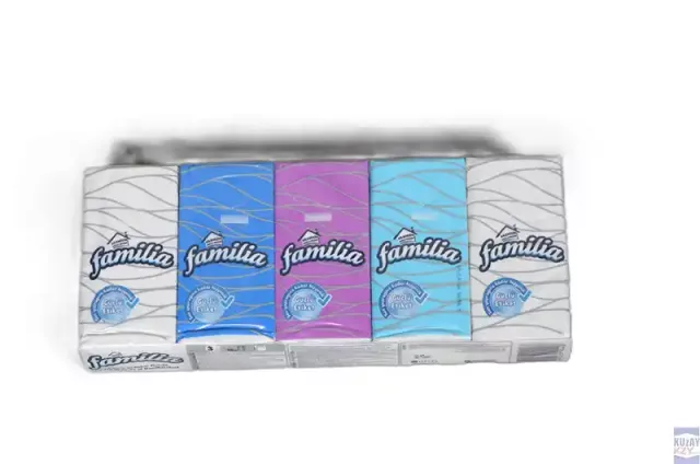 Familia 10'lu Selpak Mendil