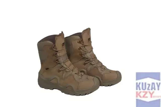 YDS ASTOR – COYOTE